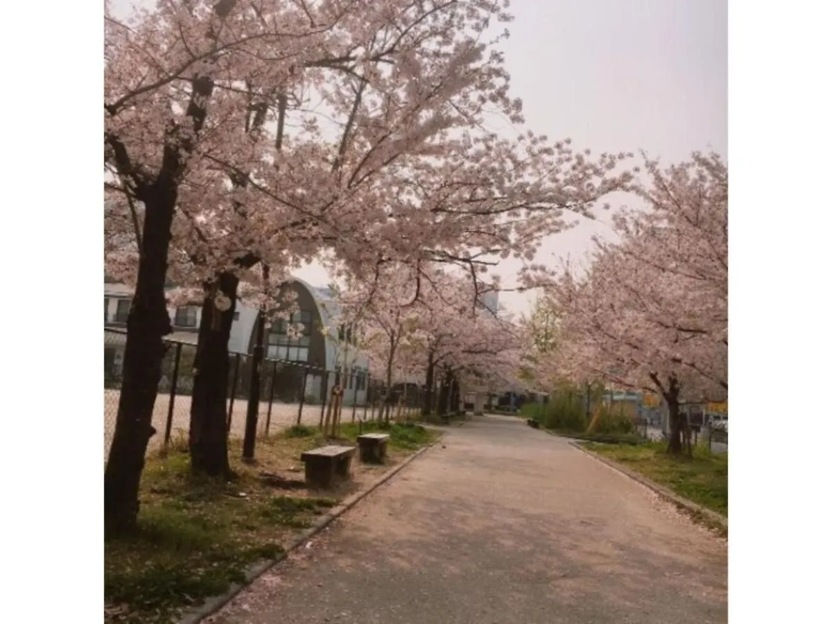 Hotel Halrotto Fukuoka Hakata - Vacation STAY 04193v