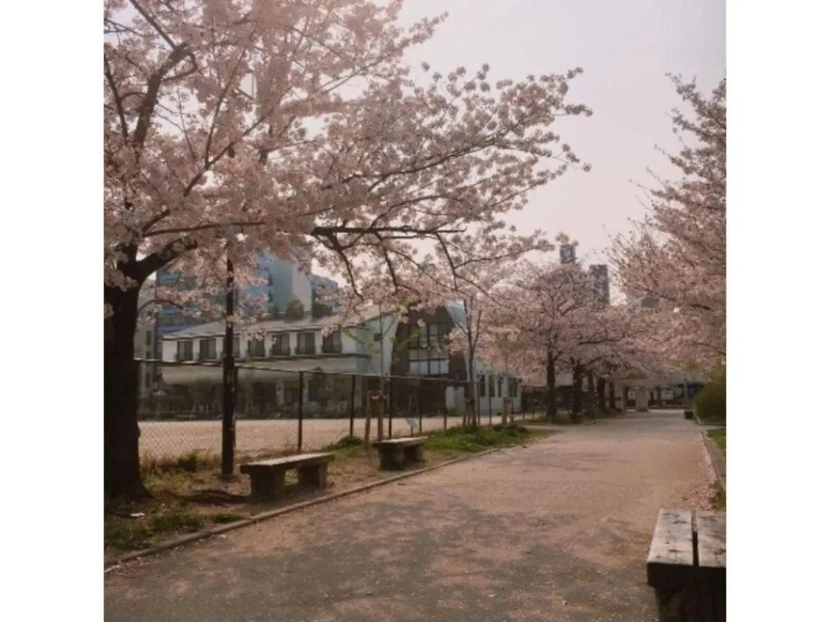Hotel Halrotto Fukuoka Hakata - Vacation STAY 04193v